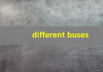 different buses